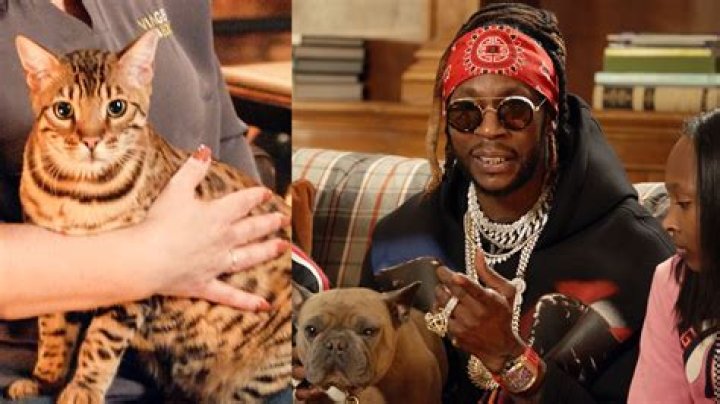 2 Chainz Pets