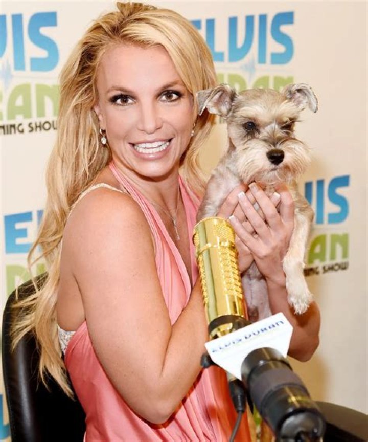 Britney Spears Pets