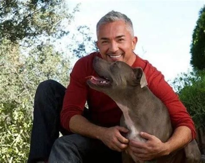 Cesar Millan Pets