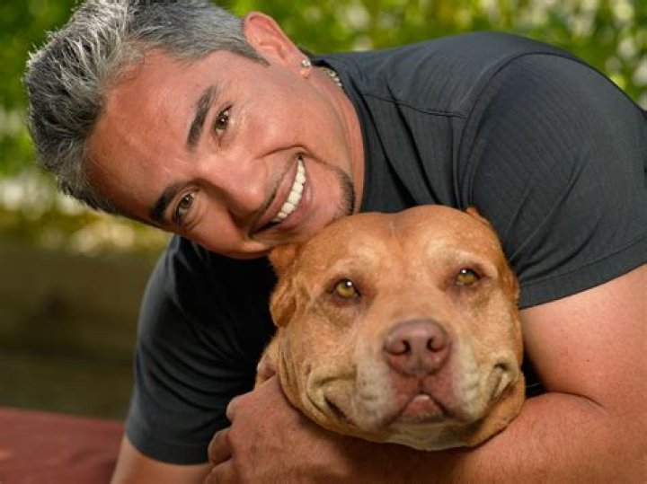 Cesar Millan's pet Daddy