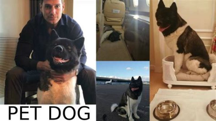 Henry Cavill Pets
