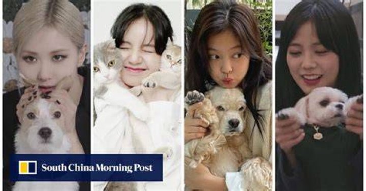 Jisoo Pets