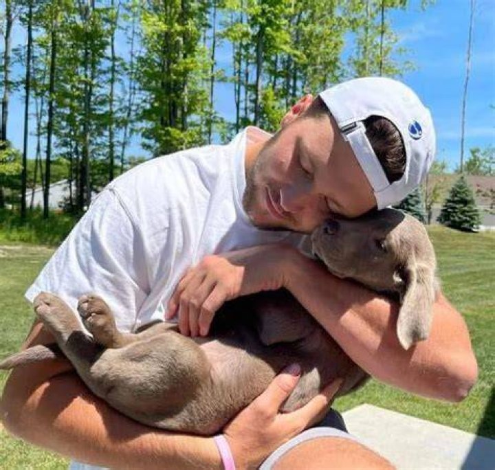 Josh Allen Pets