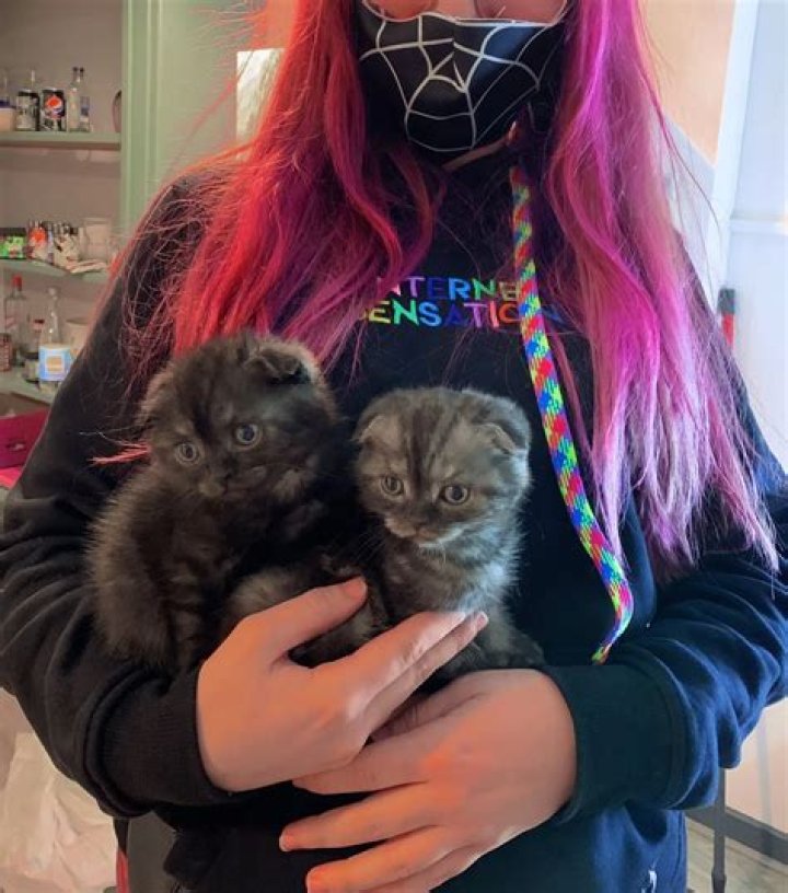 JustaMinx Pets