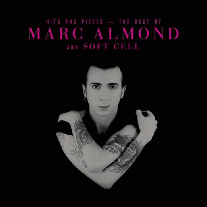 Marc Almond's pet No Pets (Marc Almond)