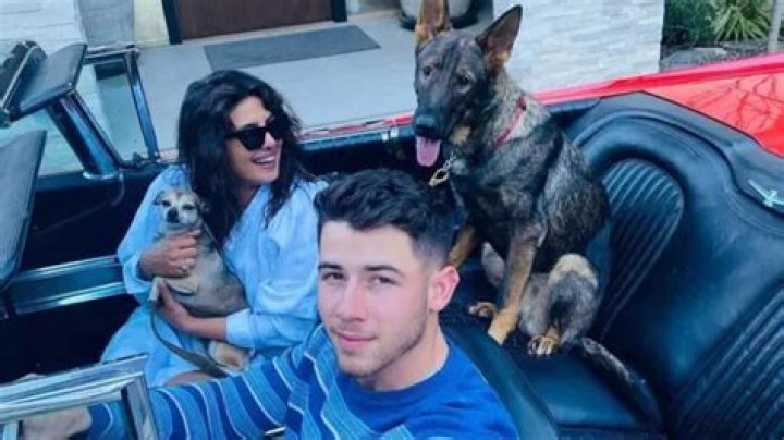 Nick Jonas Pets