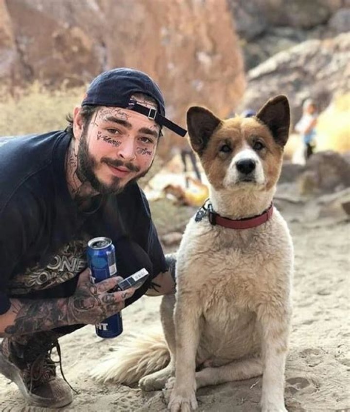 Post Malone Pets