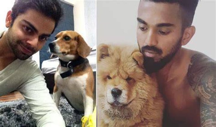 Rahul Kohli Pets