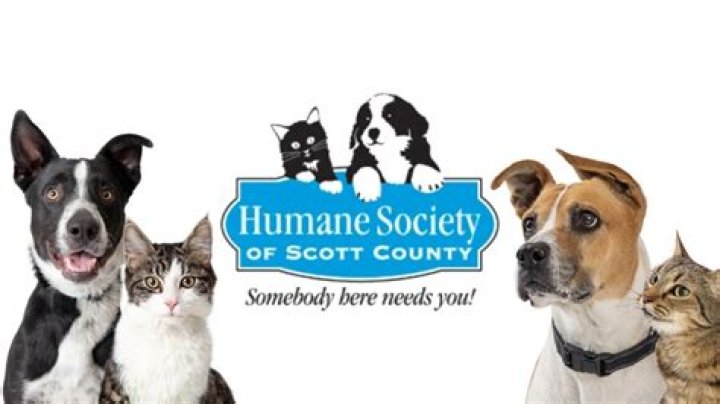 Scott Conant Pets
