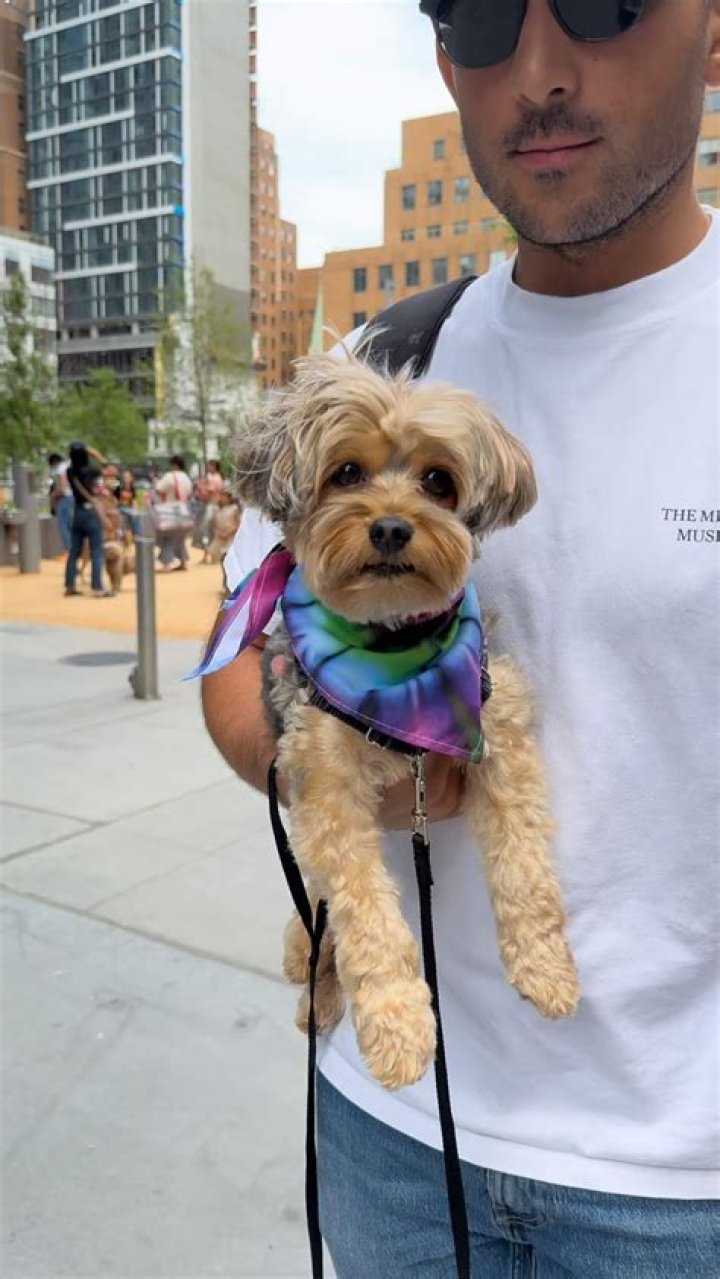 Teddy Instagram