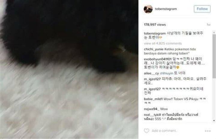 Toben Instagram