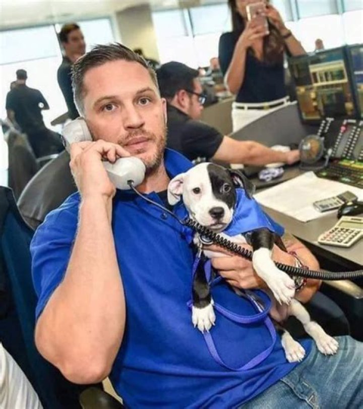 Tom Hardy Pets